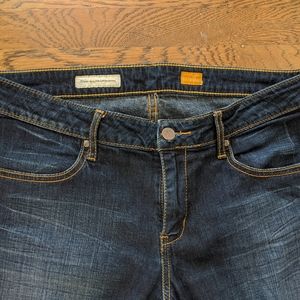 Anthro Pilcro and the letterpress jeans 29"